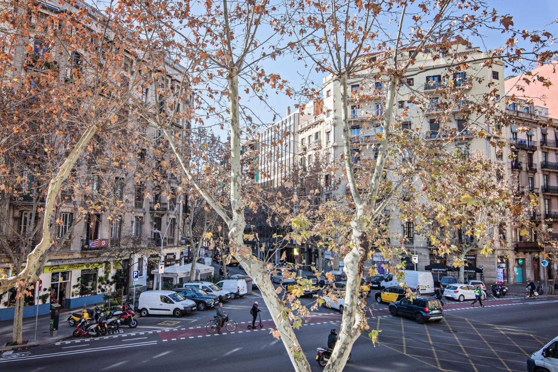 Apartamento Comte Urgell Barcelona Exterior foto